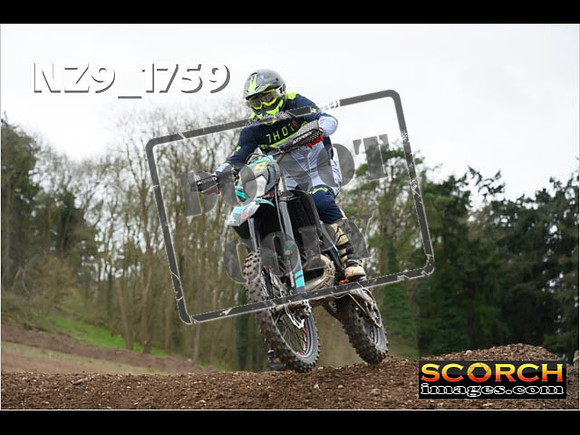 IntersGreen-267