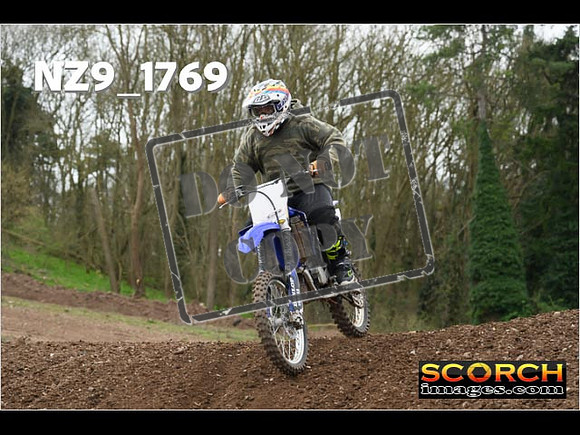 IntersGreen-276