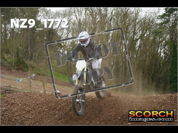 IntersGreen-279
