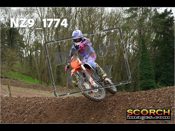 IntersGreen-281