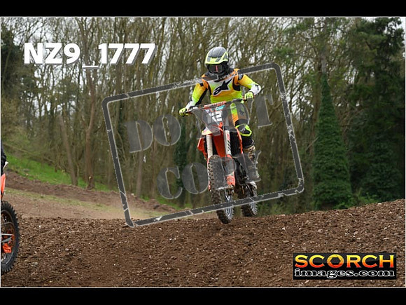 IntersGreen-284