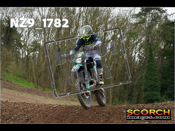 IntersGreen-289
