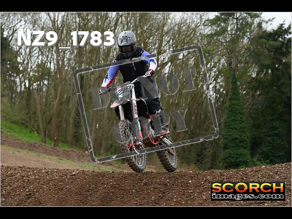 IntersGreen-290