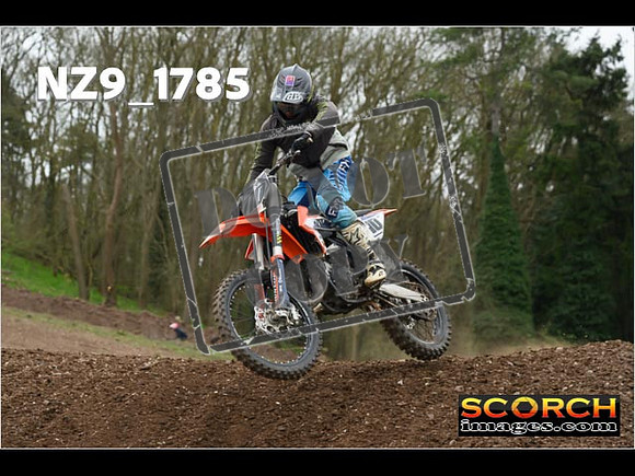 IntersGreen-292