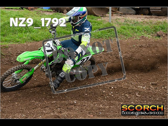 IntersGreen-299