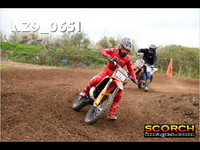 IntersGreen-014
