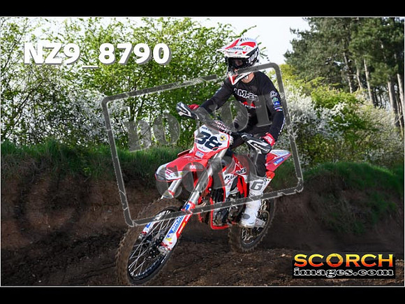 Experts-035