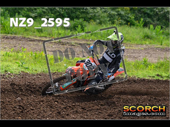 Experts-043