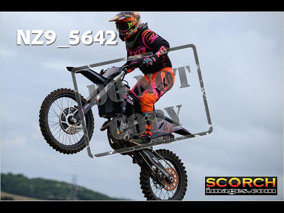 Experts-046
