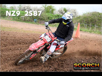 Experts-010
