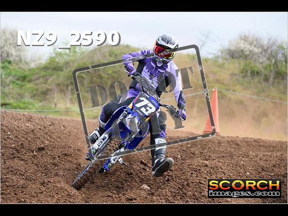 Experts-013