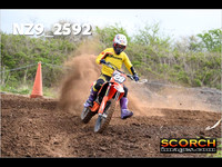 Experts-015