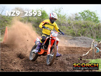 Experts-016
