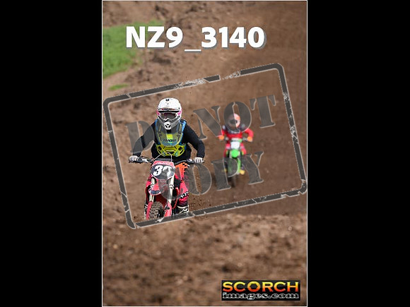 Inters-231