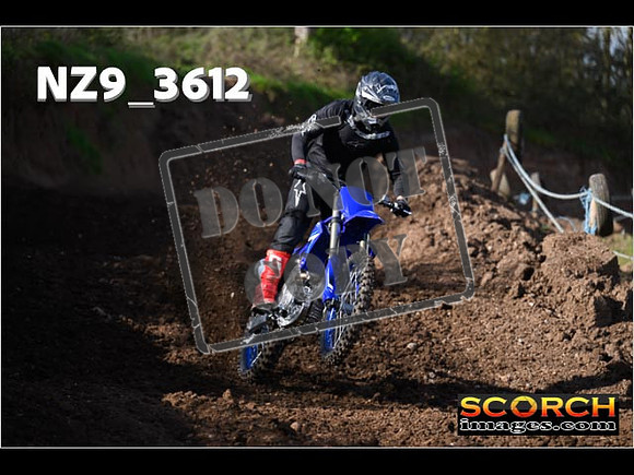 Experts-030