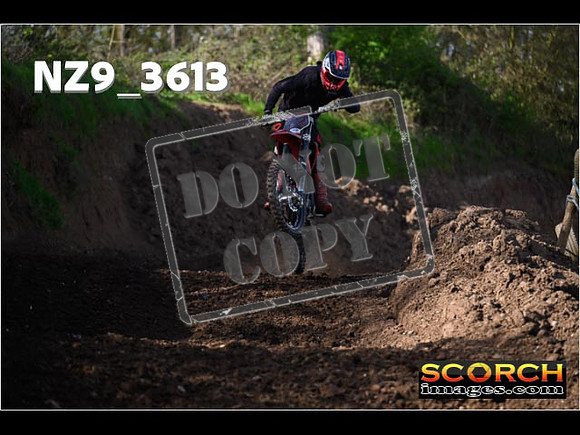 Experts-031
