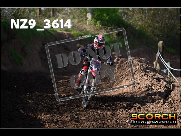 Experts-032
