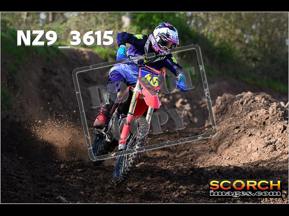 Experts-033