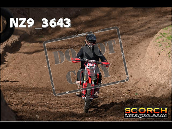 Experts-059