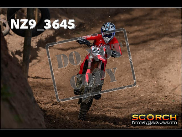 Experts-061