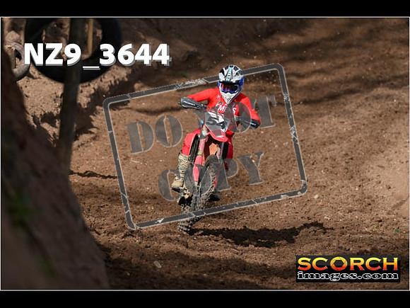Experts-060