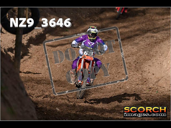 Experts-062