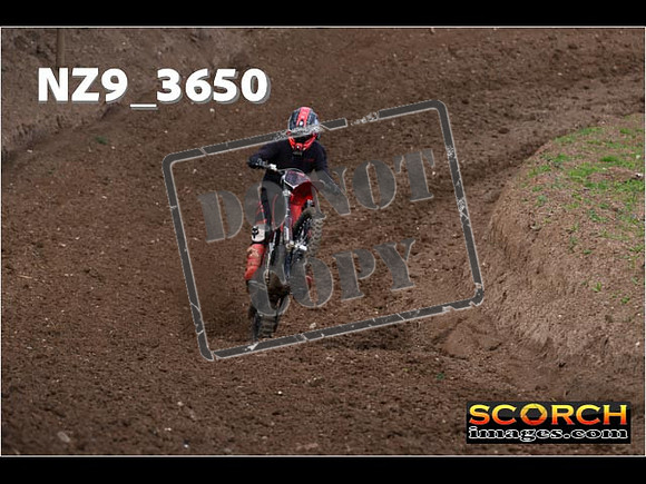 Experts-066