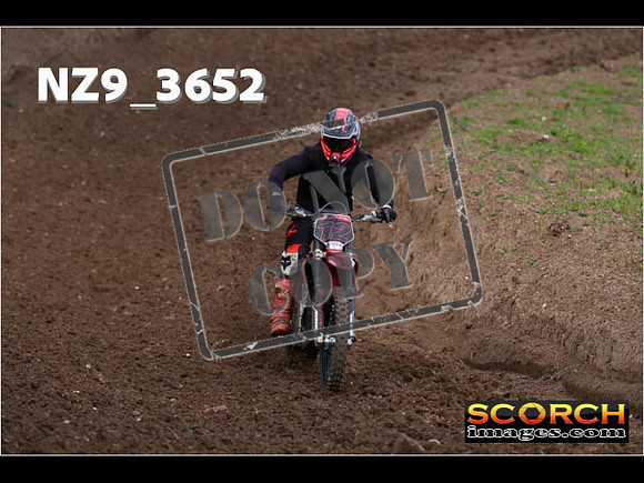Experts-068