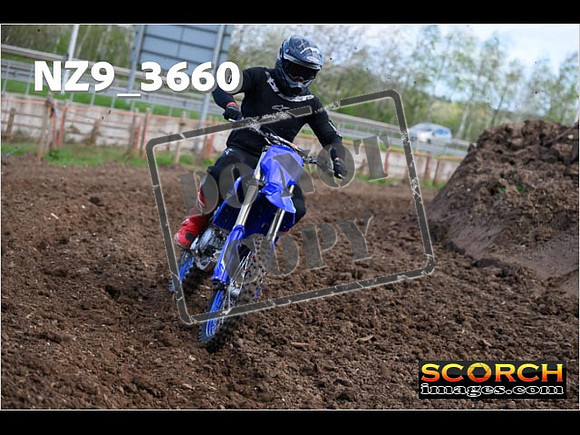 Experts-076