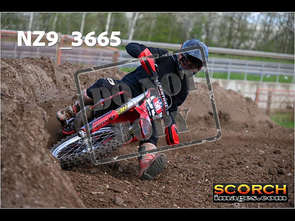 Experts-081