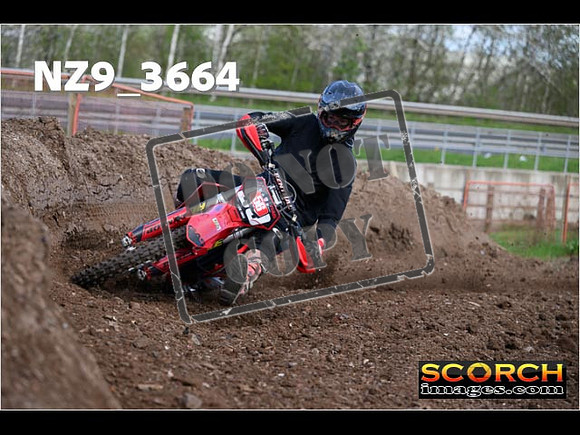 Experts-080