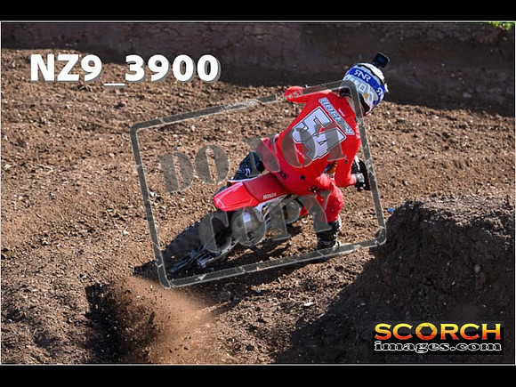Experts-082