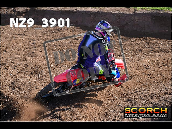 Experts-083