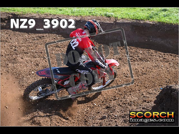 Experts-084