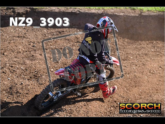 Experts-085