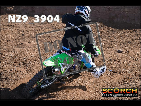 Experts-086