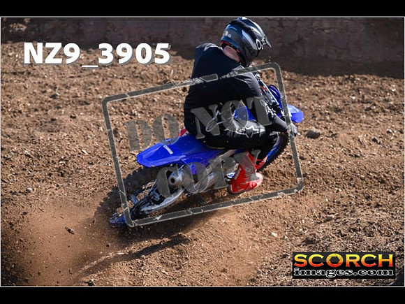 Experts-087