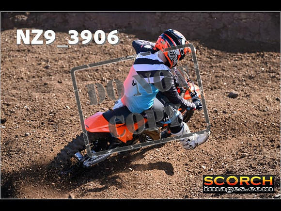 Experts-088
