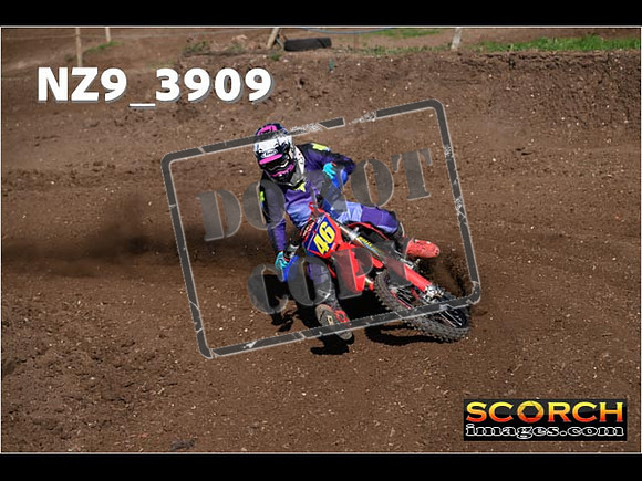 Experts-091