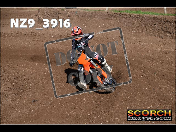 Experts-098