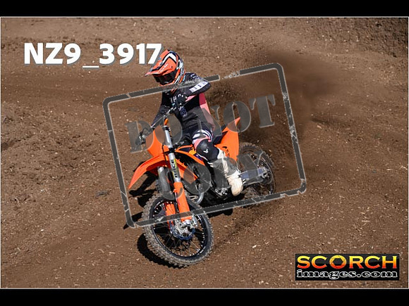 Experts-099