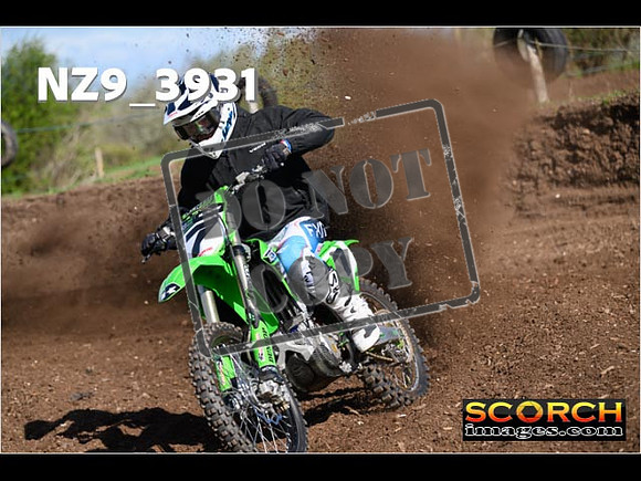 Experts-113