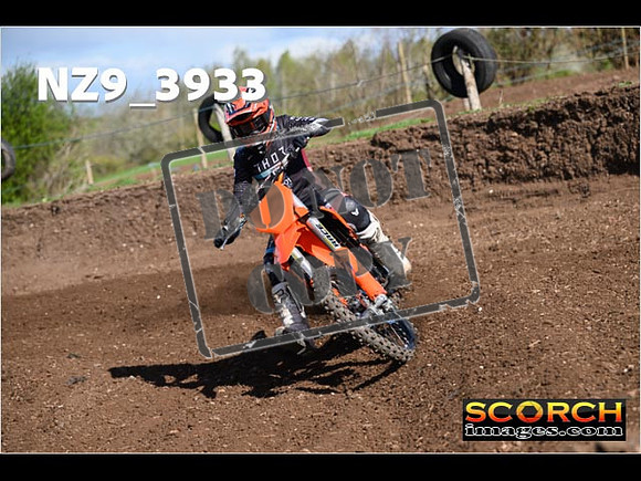 Experts-115