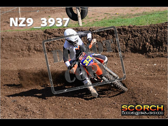 Experts-119