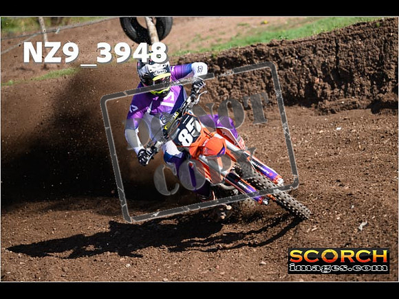 Experts-130
