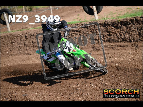 Experts-131
