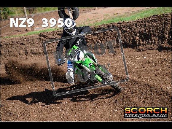 Experts-132