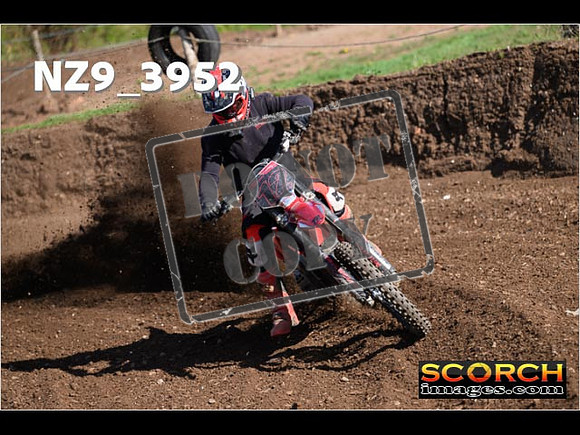 Experts-134