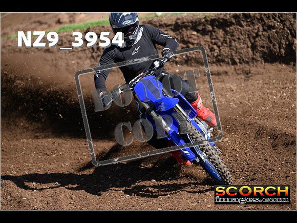 Experts-136