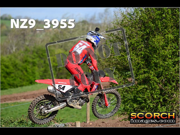 Experts-137